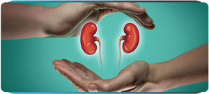 Adrenal Doctor Near Me in Scottsdale, AZ