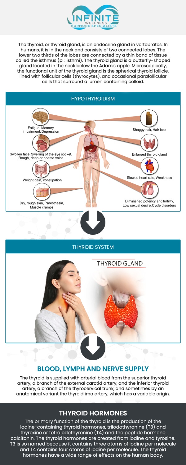 Thyroid health plays a crucial role in regulating metabolism, energy levels, and overall well-being. Dr. Vanessa Mack (Dean), a board-certified doctor at Infinite Wellness Hormone Specialists, offers expert care in managing thyroid conditions. With our extensive knowledge in natural and integrative medicine, we provide personalized treatment plans to address various thyroid issues. Our comprehensive approach focuses on optimizing thyroid function, promoting balance, and enhancing overall wellness, ensuring that each patient receives comprehensive, individualized care for lasting health. For more information, contact us to schedule an appointment. We are conveniently located at 7373 N Scottsdale Road, Suite C140, Scottsdale, AZ 85253.
